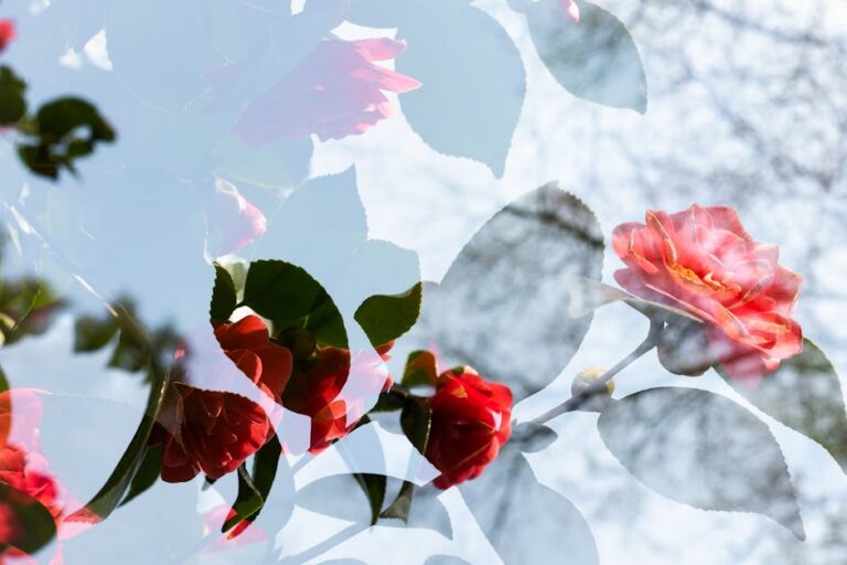 52+ Best Garden Captions for Instagram to Show Your Green Thumb