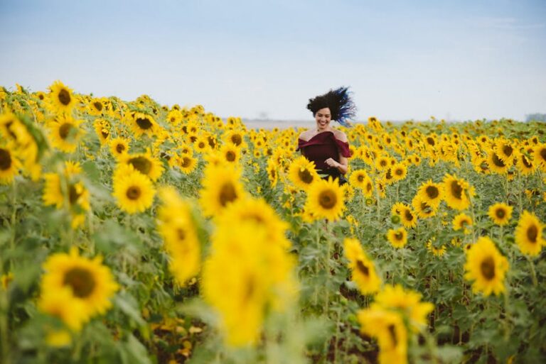 45+ Bright and Cheery Sunflower Captions for Instagram to Brighten Your Day