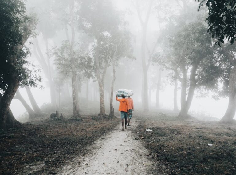 47+ Stunning Scenery Captions for Instagram to Share That Amazing View