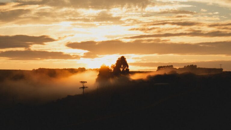 47+ Uplifting Morning Affirmations to Kickstart Your Day Right