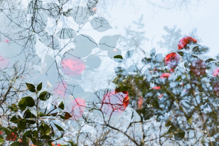 47+ Beautiful Rose Quotes to Inspire Your Full Bloom Vibe