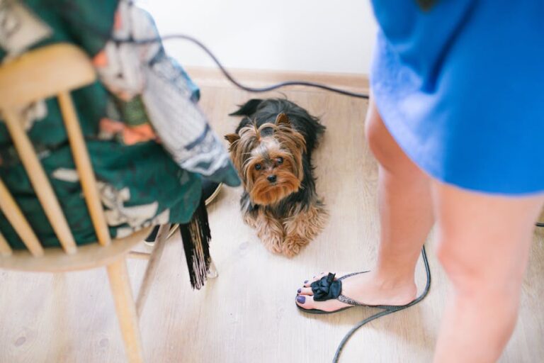 45+ Paw-sitively Best Dog Mom Captions to Brighten Your Feed!