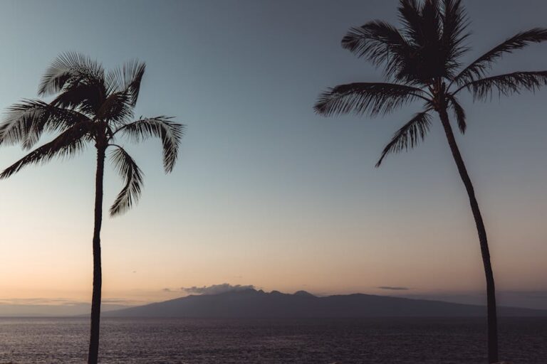 45+ Best Short Vacation Quotes and Sayings to Keep It Relaxed
