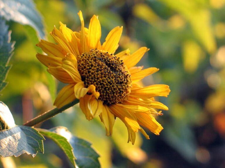 47+ Happy Weekend Quotes to Brighten Your Days