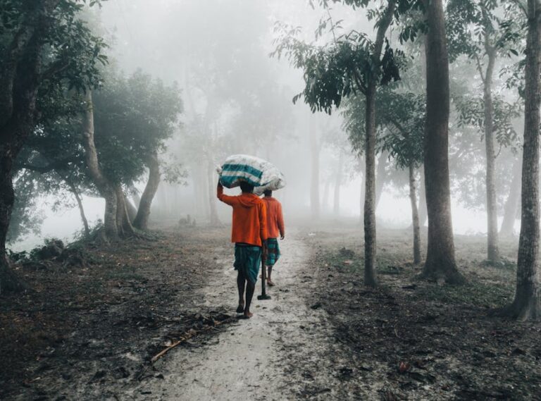 47+ Best Fog Captions for Instagram to Elevate Your Next Misty Day