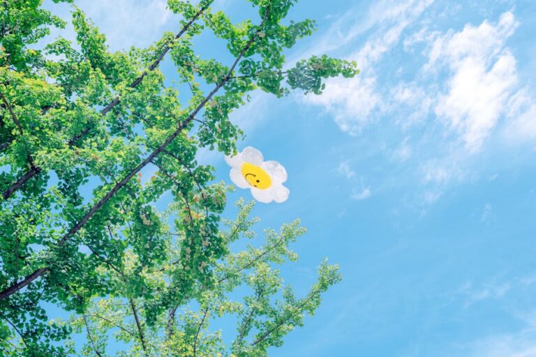 47+ Bright and Cheerful Sunshine Quotes for Instagram