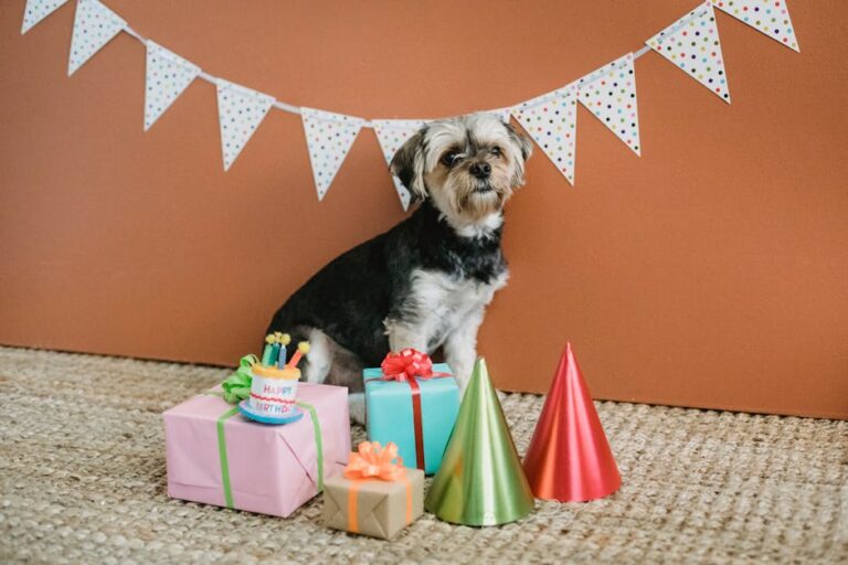 52+ Paw-some Dog Birthday Captions, Quotes, and Puns Fur Real