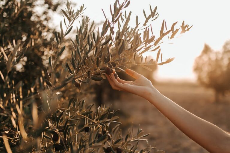 38+ Experts Share the Best Ways to Support Someone Who is Grieving