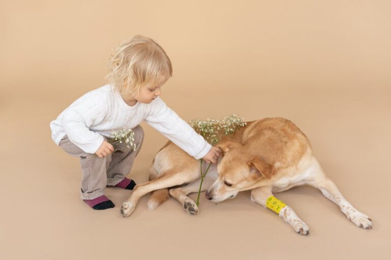 38+ Thoughtful Pet Loss Gift Ideas to Comfort Those Grieving