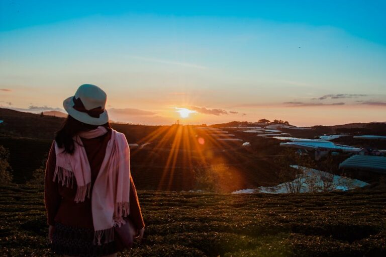 45+ Bright Sun Quotes for Instagram to Light Up Your Day+