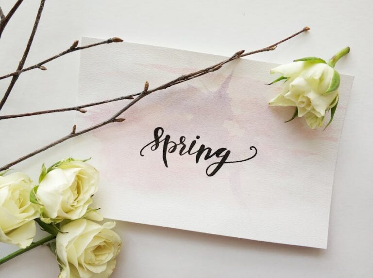35+ Heartfelt Sympathy Verses and Lines for Cards to Express Condolences
