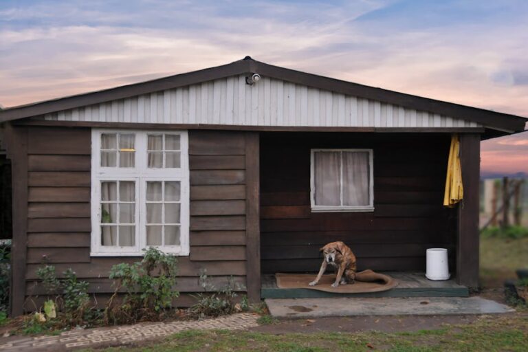 10 Pet Loss Quotes That Bring Comfort When Your Heart Feels Heavy