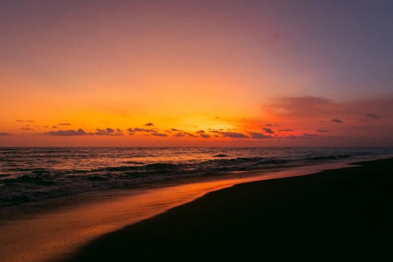 52+ Best Short June Quotes and Sayings to Welcome the Summer