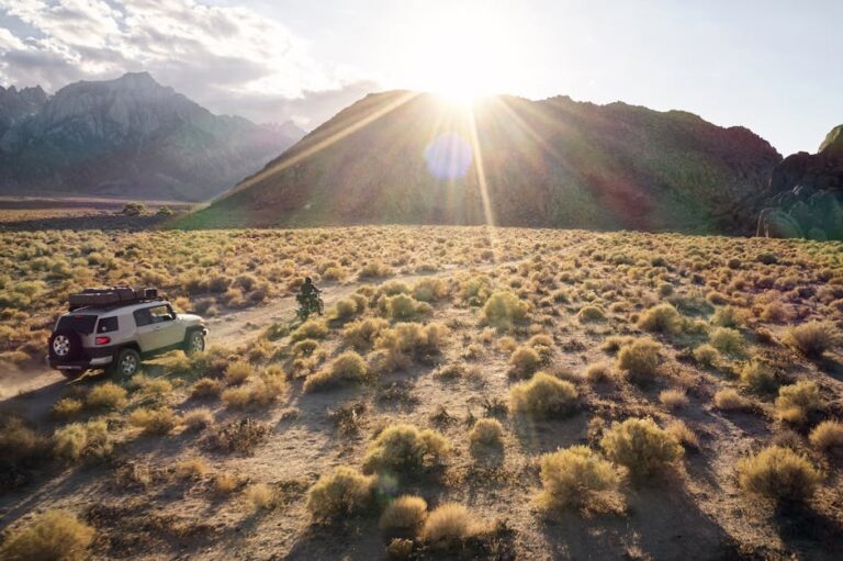 50+ Wild Jeep Captions for Instagram to Amp Up Your Off-Road Adventures